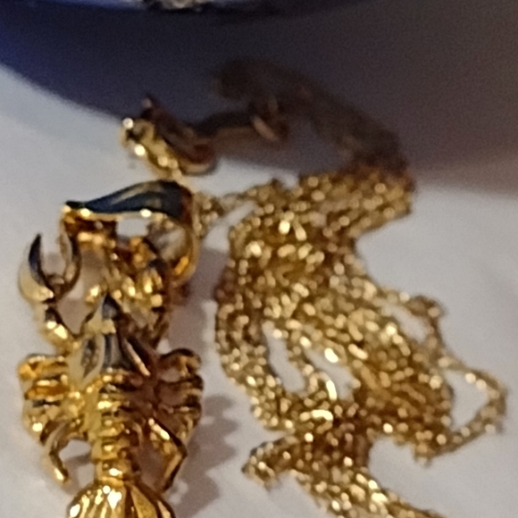 14KT 🦞 Lobster Lover .98gms. Gold Chain Upon Request for an additional fee. - Picture 4 of 6